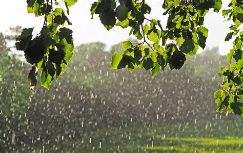 下 雨|下雨の意味